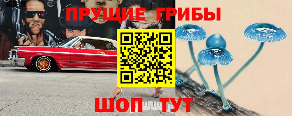 наркотики  Вход с VPN  Ахтубинск  Псилоцибиновые грибы Psilocybe 