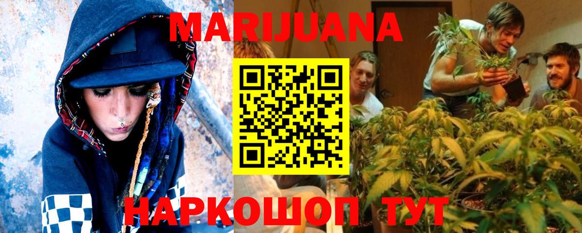 Шишки марихуана семена Ахтубинск